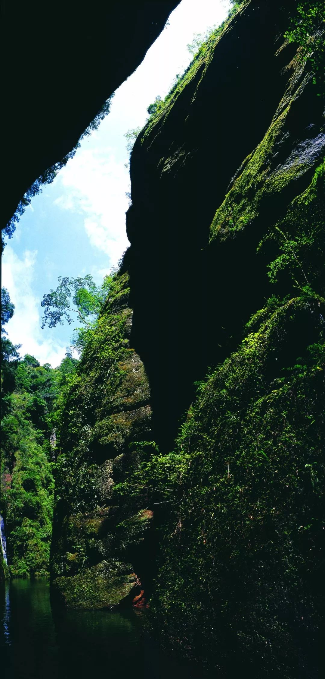 这条“藏在深闺人未识”的溪流,让你远离凡尘,沉醉于此