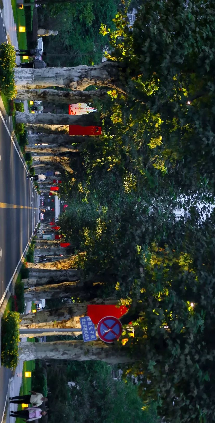 川大望江介绍,川大望江校区