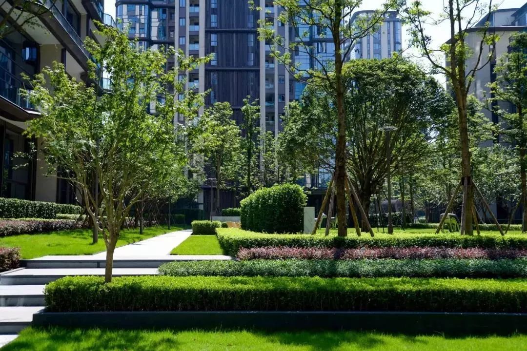 龙湖舜山府背后的故事,2024年重庆龙湖舜山府