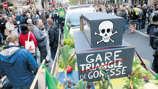 “欧洲城”被法总统叫停背后：与法国公民期待不再相符