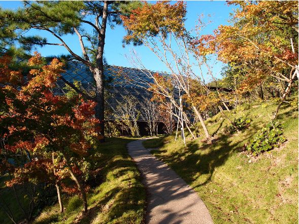 场地启发灵感“地尽其利”丨studioonsite事务所