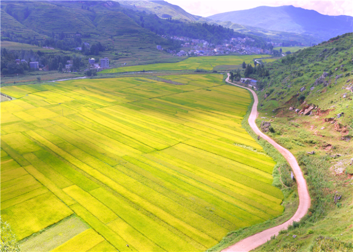 曹振华富源,富源金城路曹振华