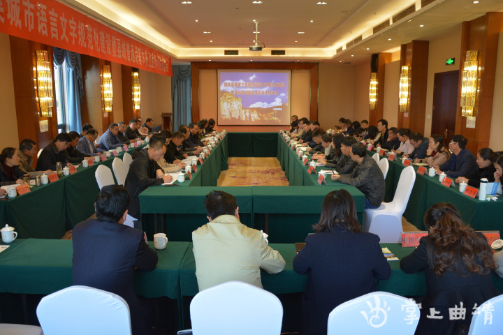 陆良县国家三类城市语言文字规范化建设暨县域普通话基本普及达标通过评估验收