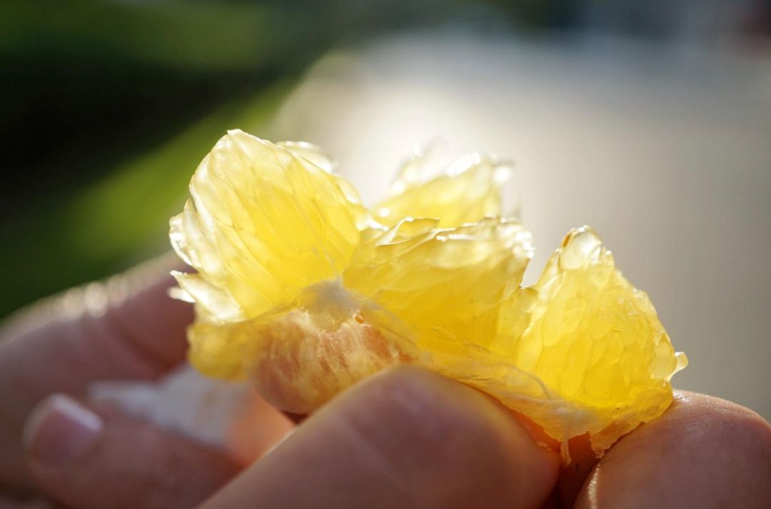 认识下广东人从小吃到大的宝藏水果,像冬季里清甜的山泉