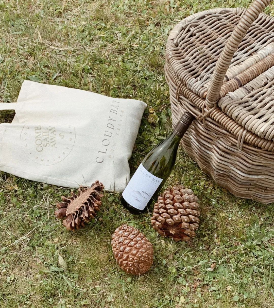 新西兰旅行的感受,新西兰旅游享受快乐每一天