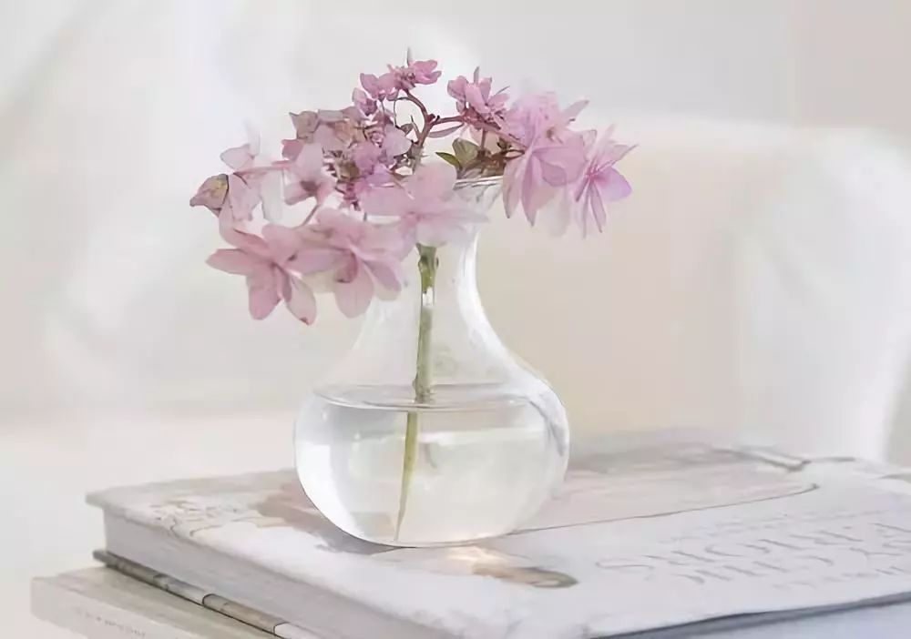 有福气的家庭会怎样,家庭有福报的风水物件