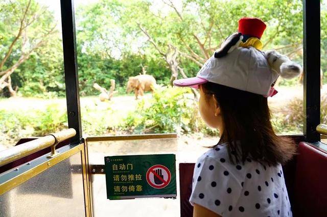 亲子游广州长隆动物园,广州长隆野生动物世界亲子游路线