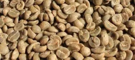 速溶咖啡粉和云南小粒咖啡的区别,云南小粒咖啡什么品种最好