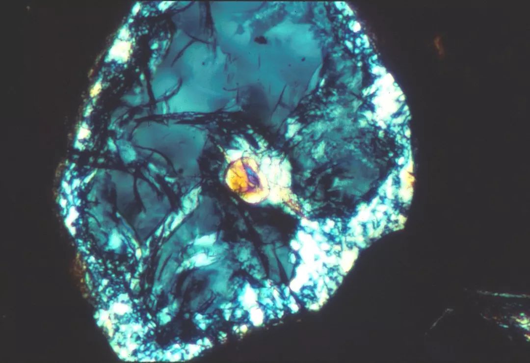 什么是硅藻泥,什么是硅石