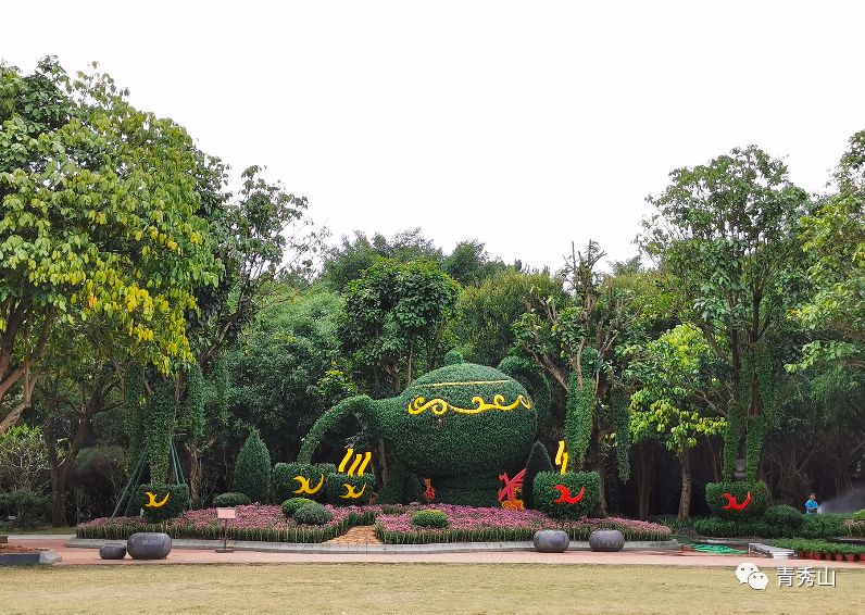 青秀山菊花展进入最佳观赏期,南宁青秀山菊花展门票多少钱一张