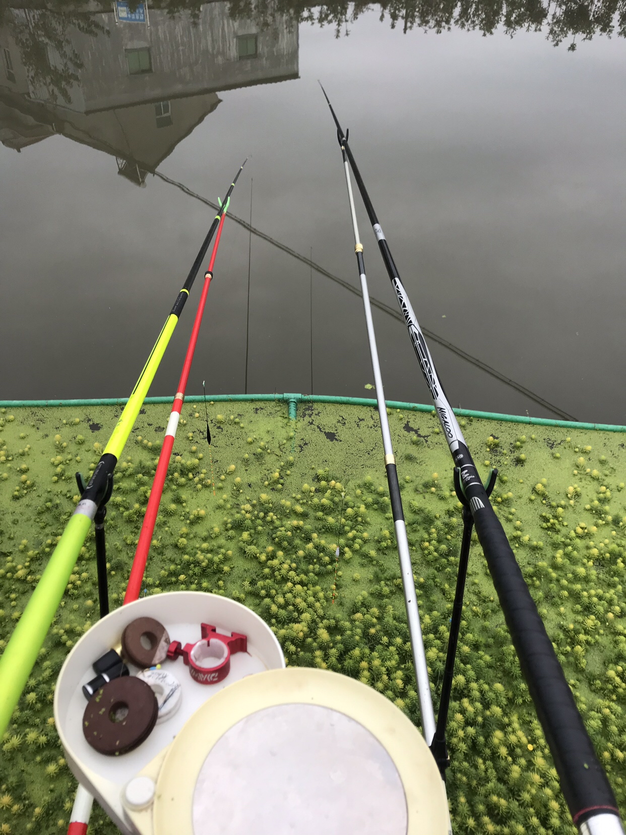 野钓垂钓实录,野钓钓鱼视频实战