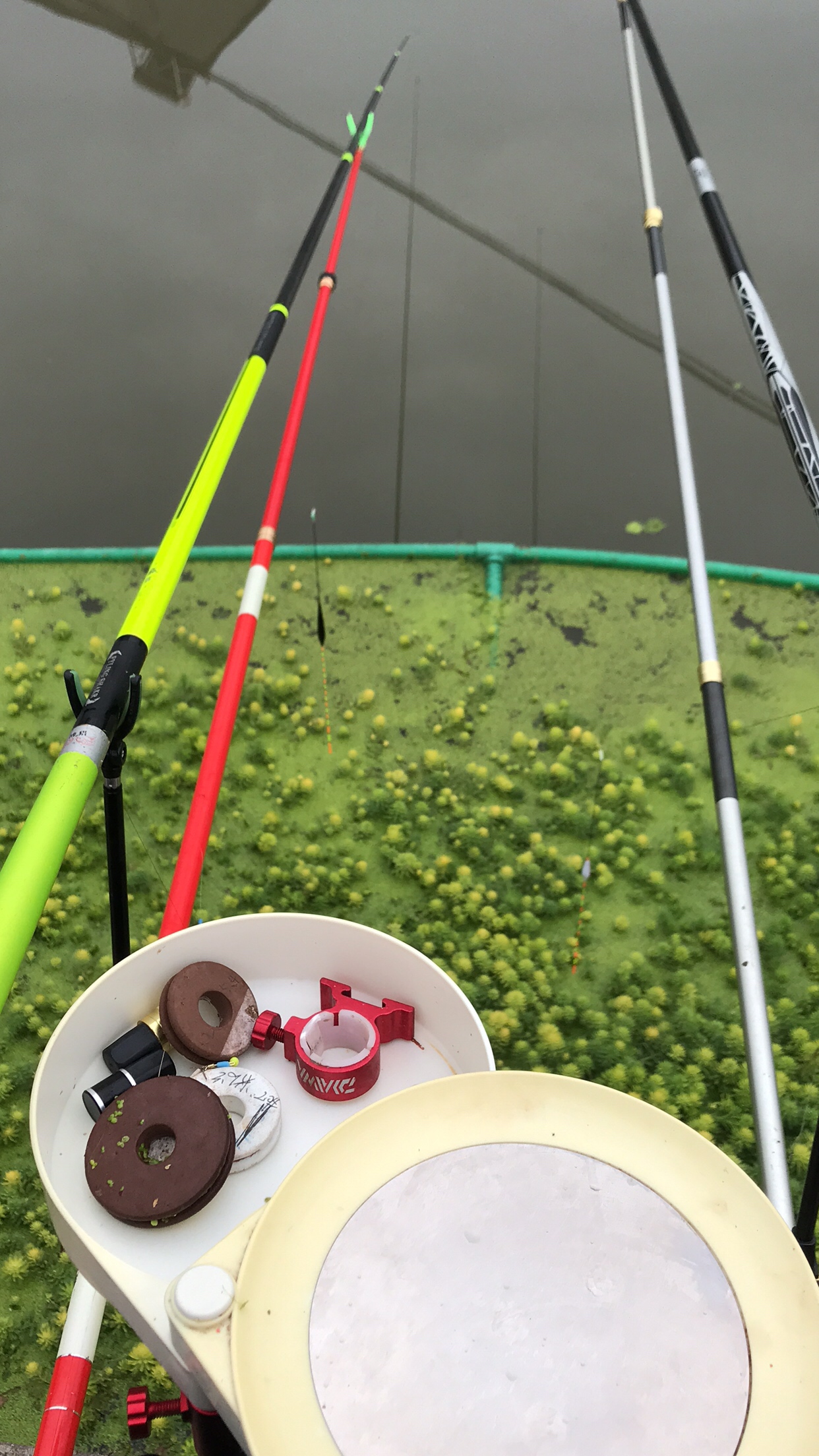 野钓垂钓实录,野钓钓鱼视频实战