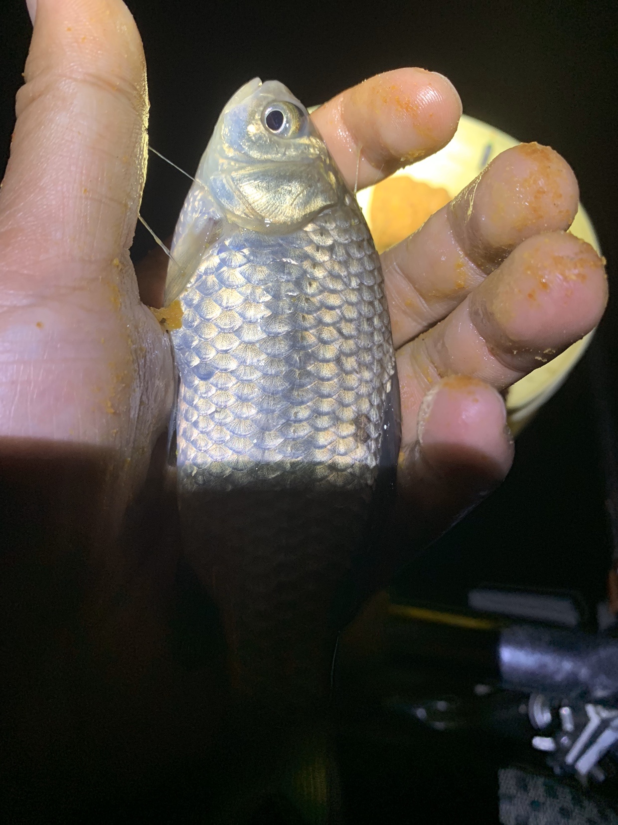 禁不住诱惑去开光，马马虎虎算成功