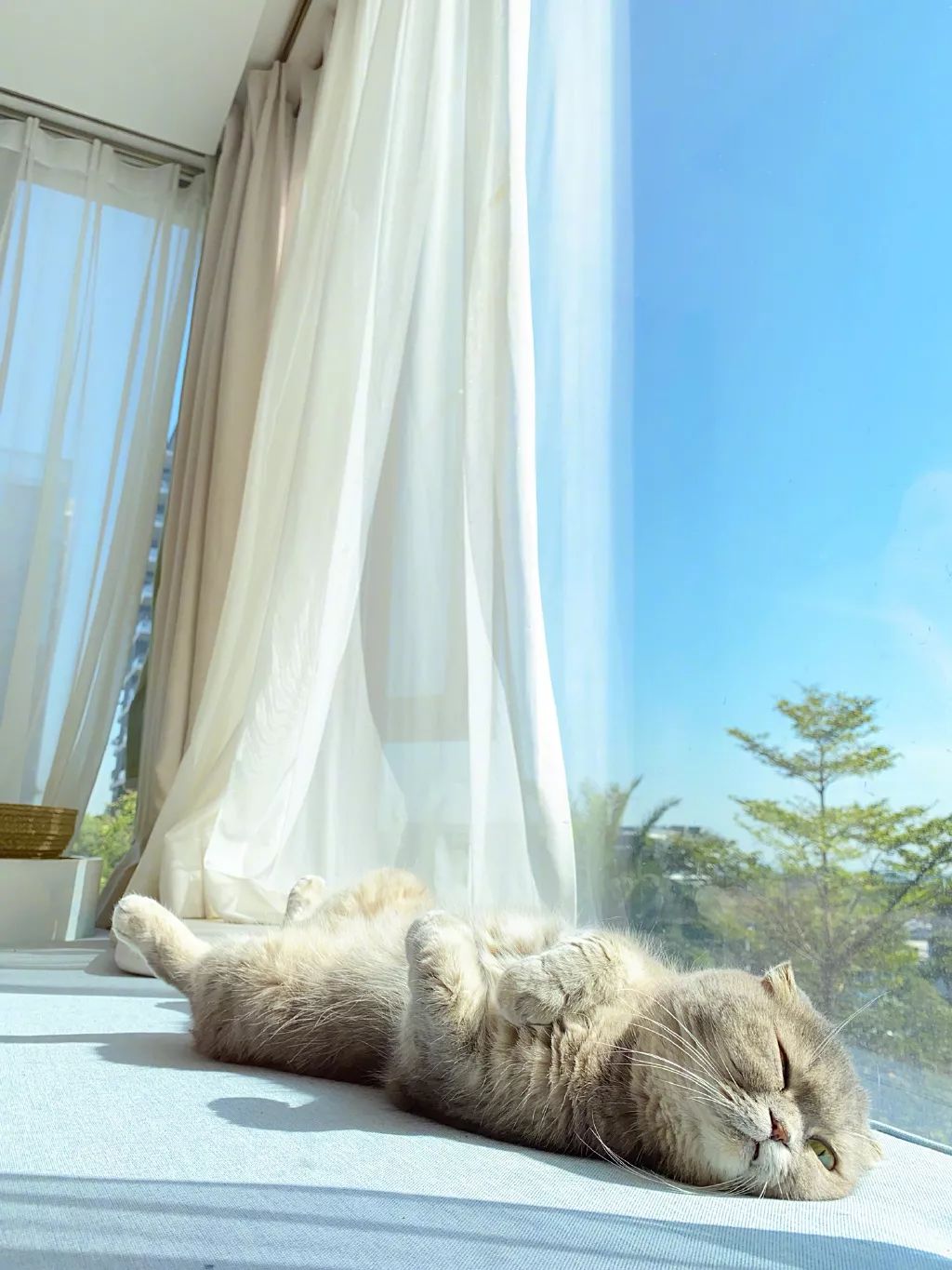 中国哪里开始下雪了,什么地方开始下雪了