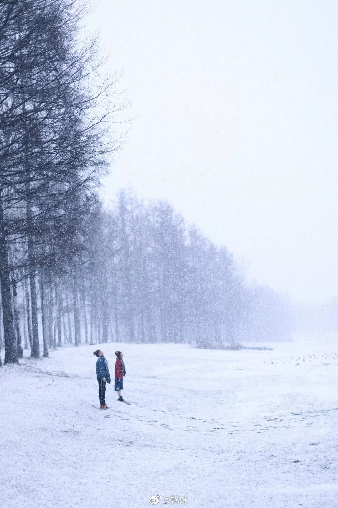 中国哪里开始下雪了,什么地方开始下雪了