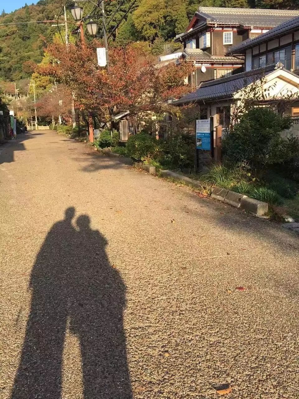 省钱又实用的日本“红叶狩”攻略错过又要等一年|用耳朵旅行的财经主播Nina