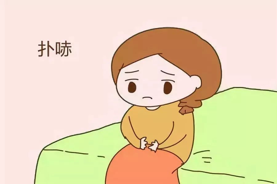 “神秘的村庄”——女性阴道