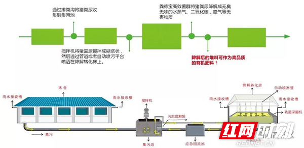 创新与成功的黑科技,创新黑科技
