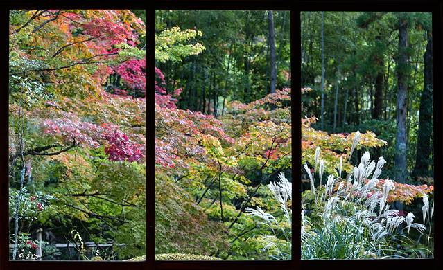 15天关西自由行,日本关东7日自由行