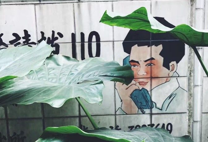 这张图非常火，网友留言说：这个星星就不知道把板凳往前挪一挪吗