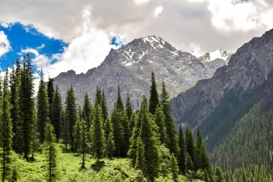 中国境内最好的宝石,中国哪里宝石最多