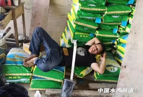 养虾的100大利润,养虾年入百万的人