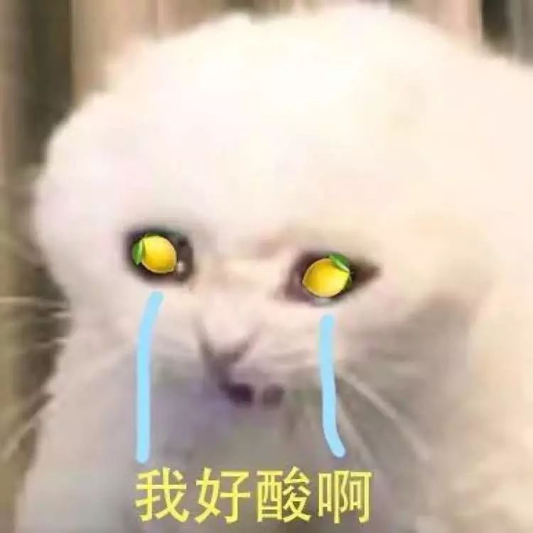 我太南了男生版,柠檬精网络流行语入选