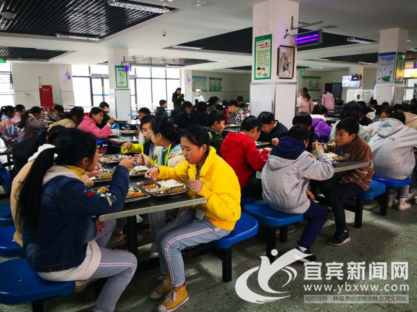 校园食品安全主题行动,主题教育食品安全课题