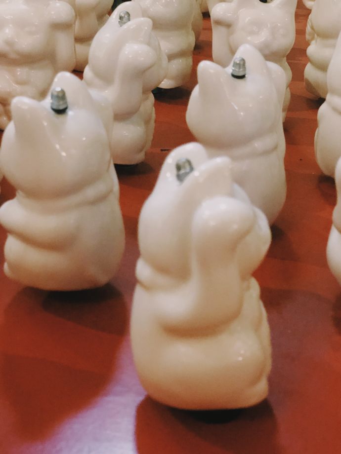 各种猫咪的博物馆,猫咪博物馆都有哪些猫