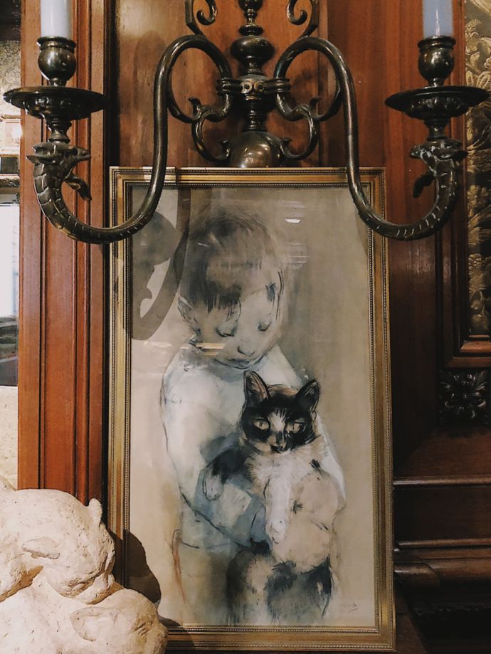 各种猫咪的博物馆,猫咪博物馆都有哪些猫