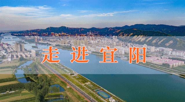 住哪里可以感受洛阳的繁华,洛阳哪个地方最适合居住