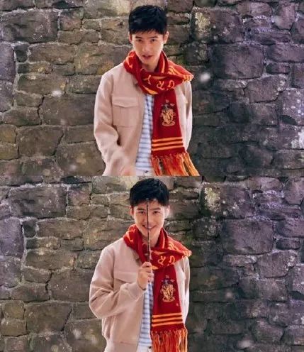 palnartpoc联名哈利波特,哈利波特联名合集