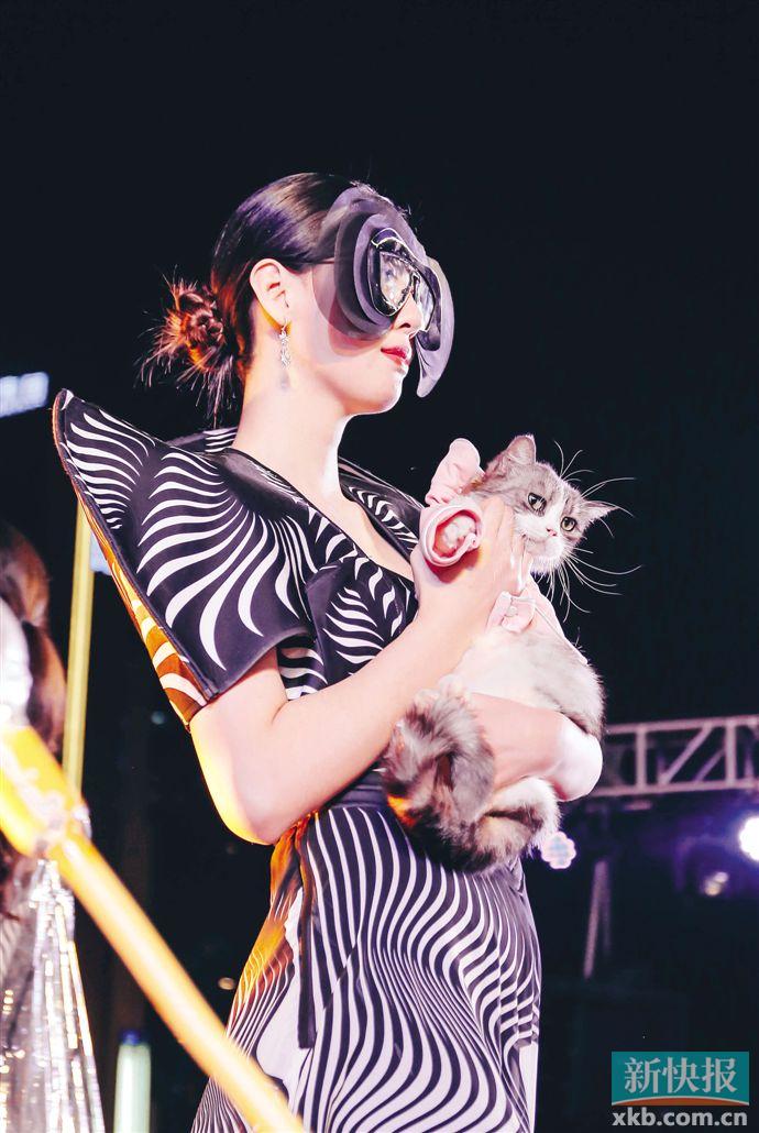 钻石世家系列有哪些,钻石世家有哪些主题款