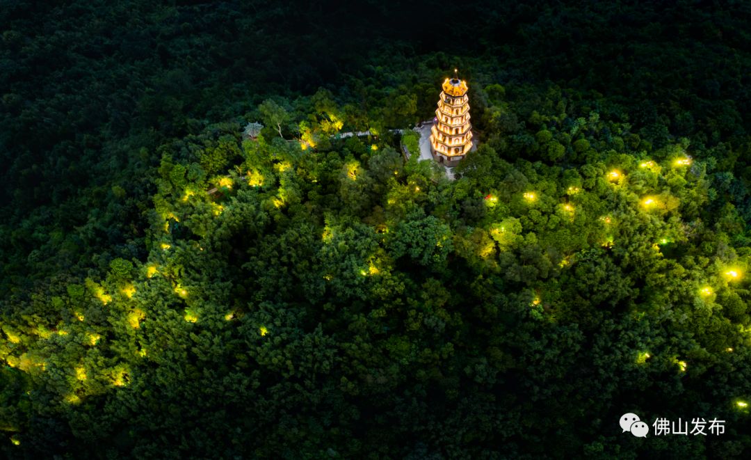 鎴戠埍鎴戝浣涘北,鎴戠殑鑰佸浣涘北