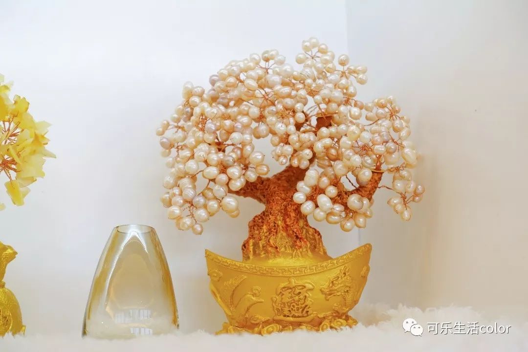 鲜活蚌珍珠探店,珍蚌开蚌珍珠diy体验馆从化