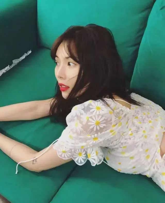 权志龙喜欢的雏菊是什么雏菊,权志龙的小雏菊为什么少一半