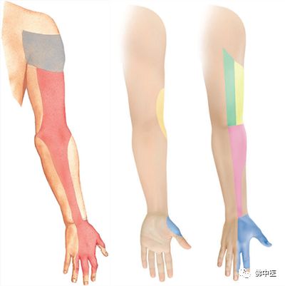 指尖发麻有针刺感看什么科室,左手拇指食指发麻针灸怎么治疗