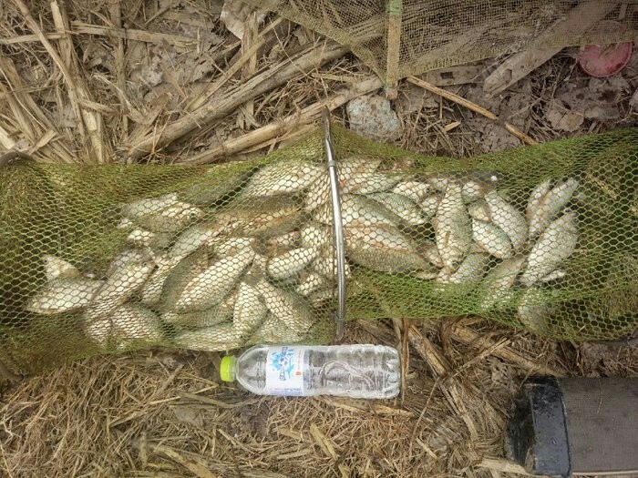 野钓入门装备清单大全,野钓买什么装备才算合格的钓友