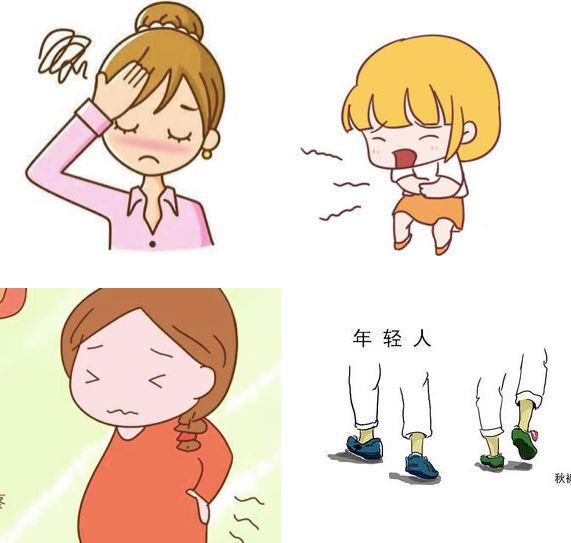 人间富贵花上位史,人间富贵花和霸总