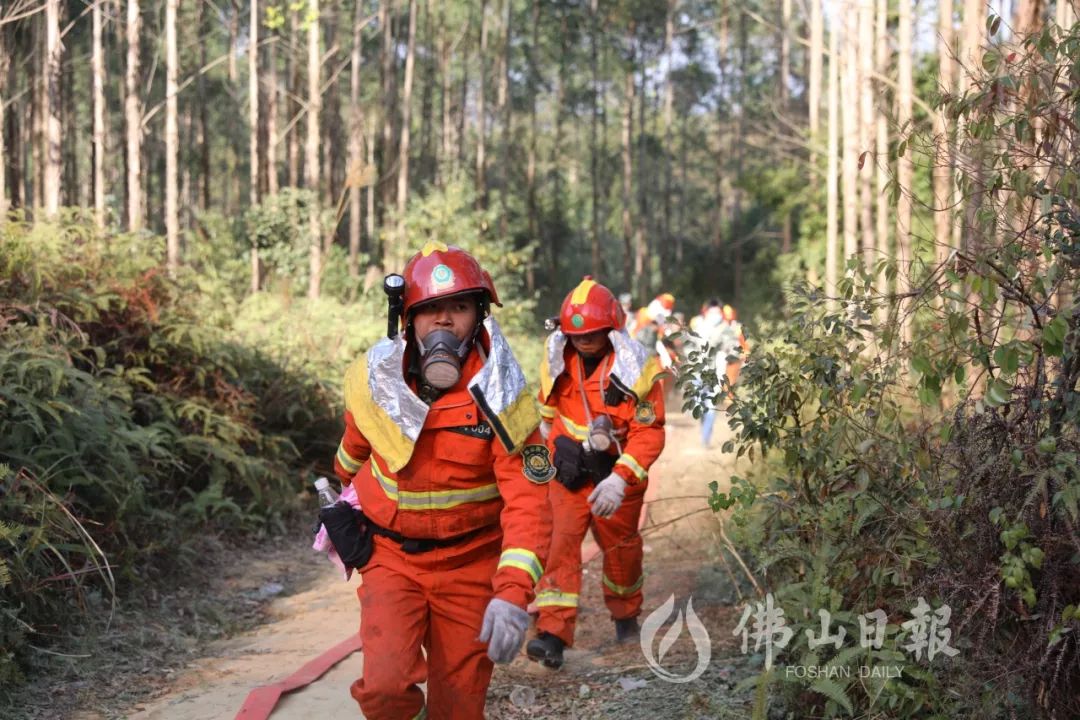 坚守岗位做最美逆行者,守护最美的逆行者