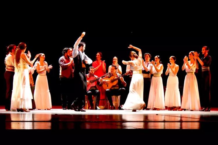 舞剧卡门观演攻略,舞剧卡门舞蹈视频完整版