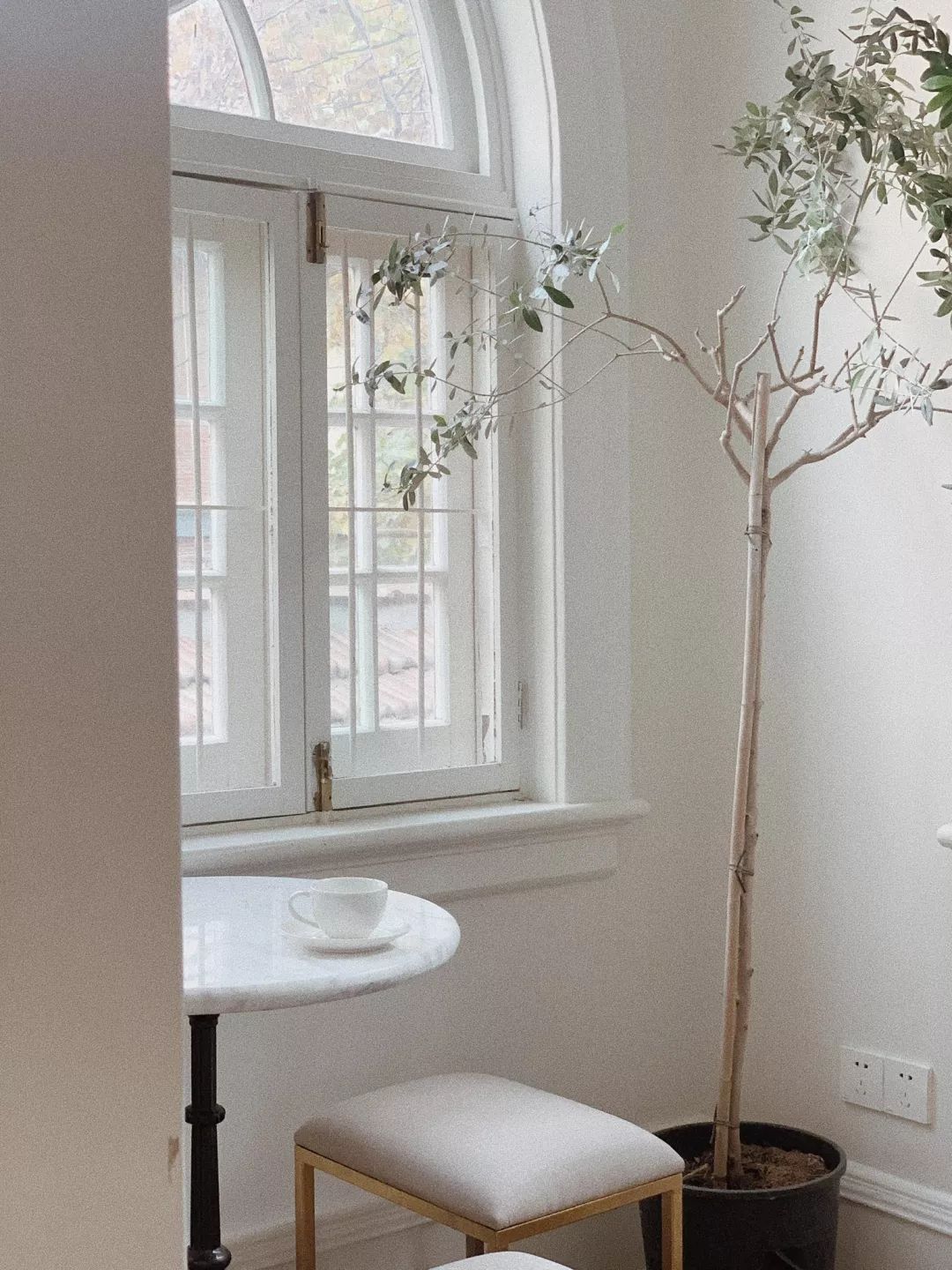 上海冬日最冷气温,上海冬日最冷温度