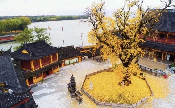 上海地铁可直达6个古镇,从上海到江南六个水乡古镇