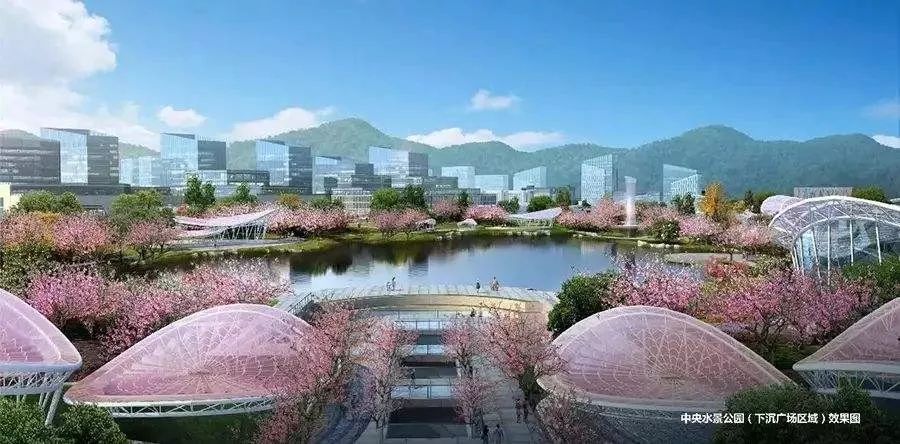 首次入杭，这家开发商为何做了三件“不按常理出牌”的事？|耳朵楼市