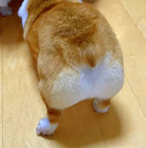 不列颠小店主，中国小网店，大历史的“小生意”