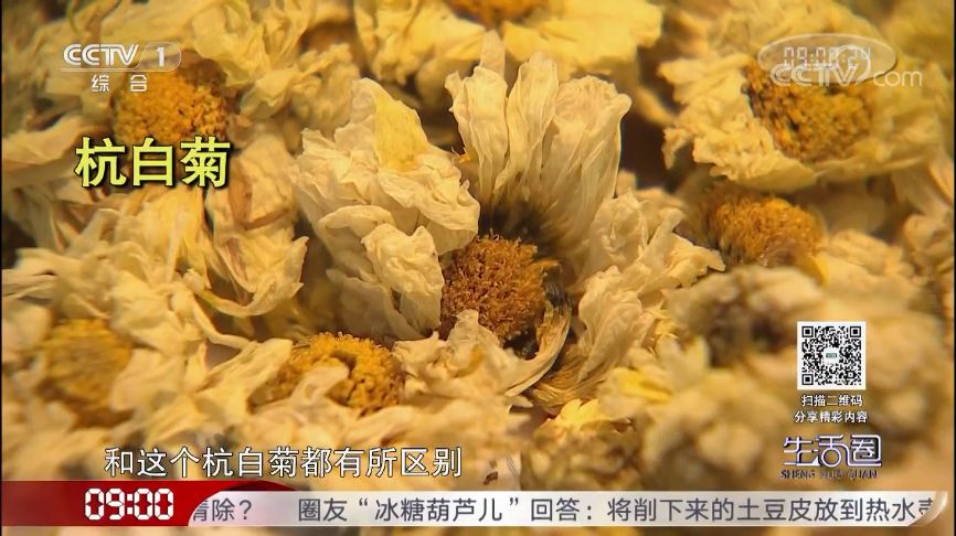 哪种菊花茶清热去火效果最好,什么品种的菊花茶清热去火效果好