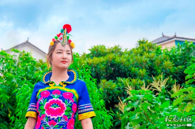 彝族漫山遍野的索玛花,索玛花盛开在高高的彝山