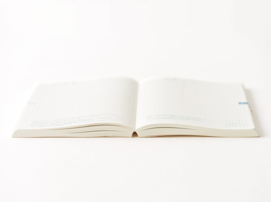 霓虹国排名,霓虹最好用的套装