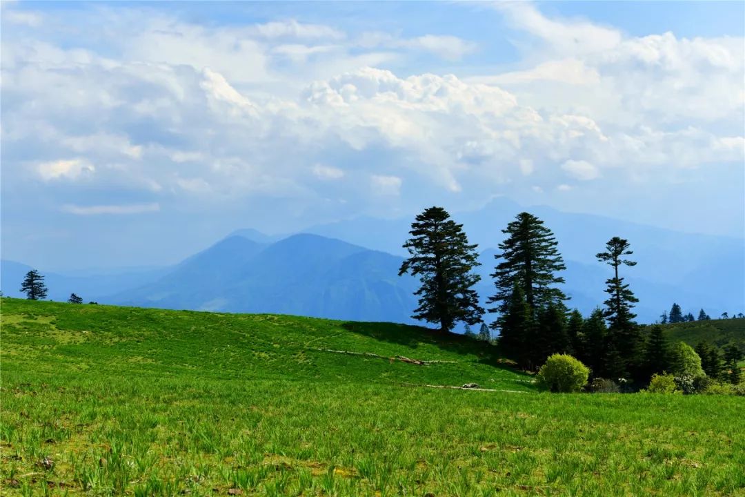 关于一张去丽江的旅游图,100张丽江照片