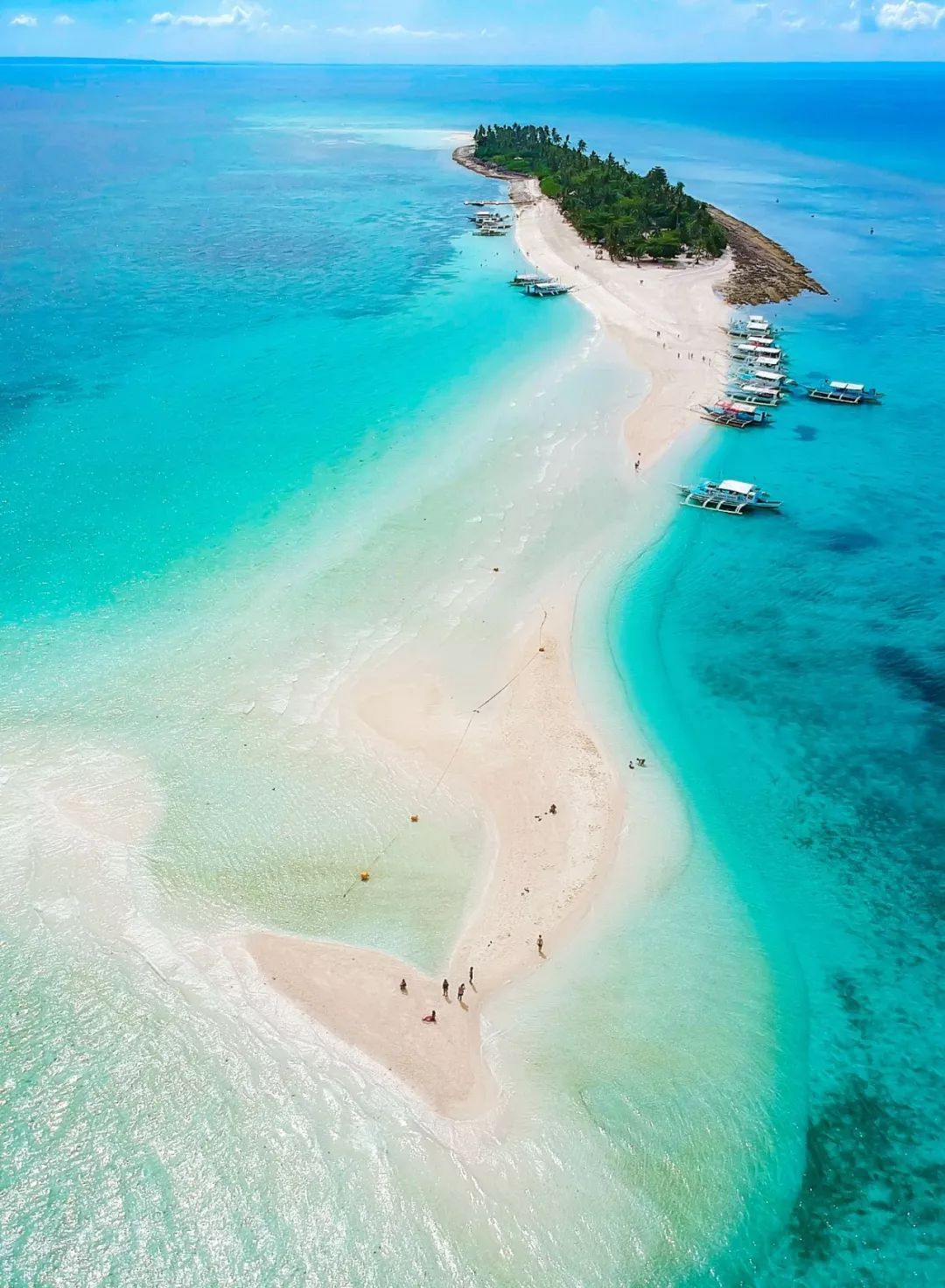 菲律宾塑料破碎,菲律宾碎尸案